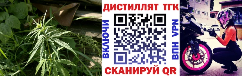 kraken Лермонтов ТГК Wax